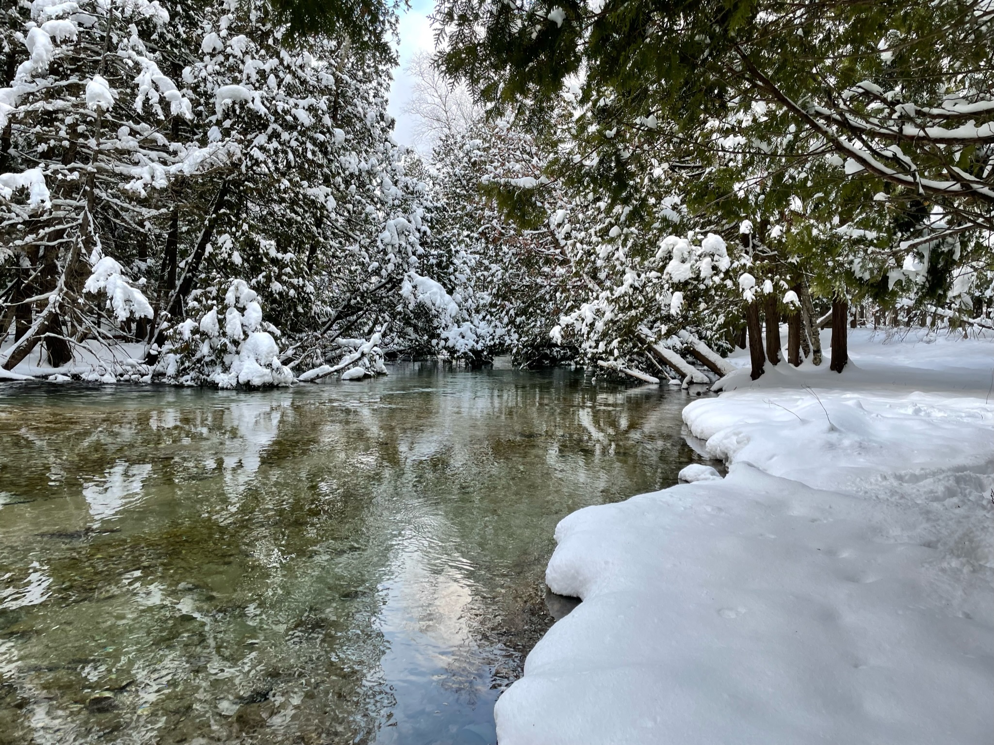 winter on crystal river