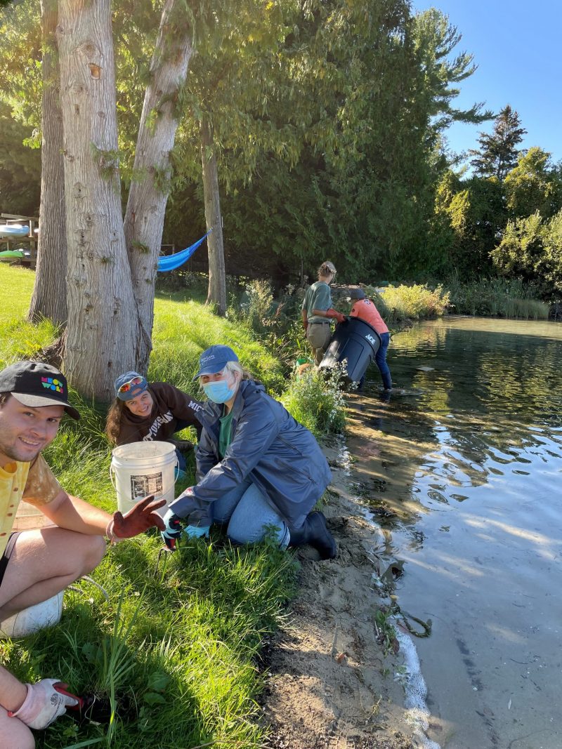 students help remove invasive species from shoreline