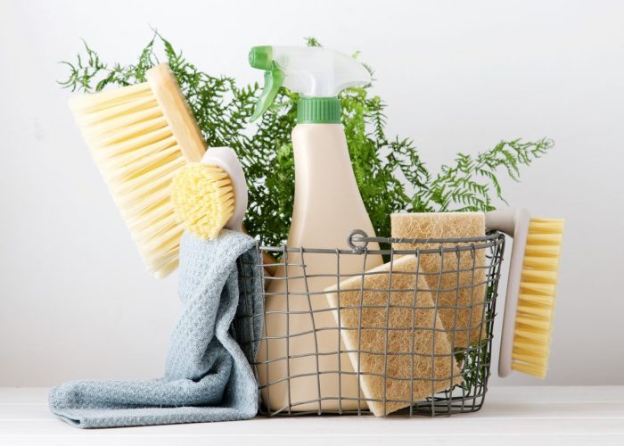 eco lake friendly natural cleaning products