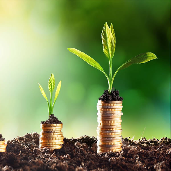 money grows support us stock photo